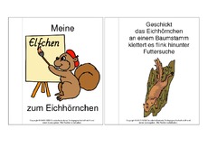Mini-Buch-Elfchen-Eichhörnchen-B.pdf